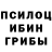 Псилоцибиновые грибы мицелий Veniamin 068